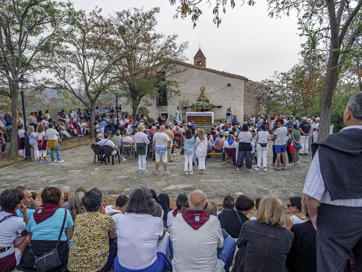 P1188752 copia