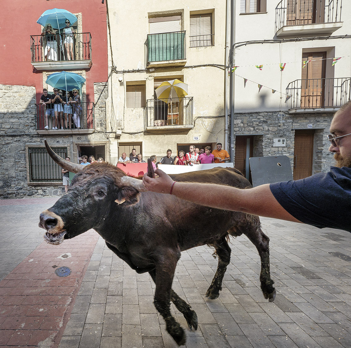 P1211286 copia