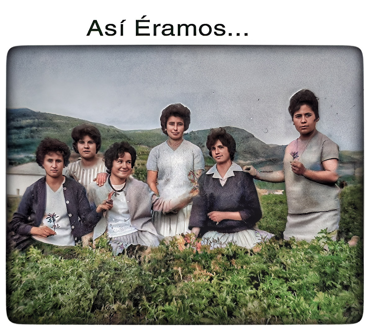 Asi ermaos