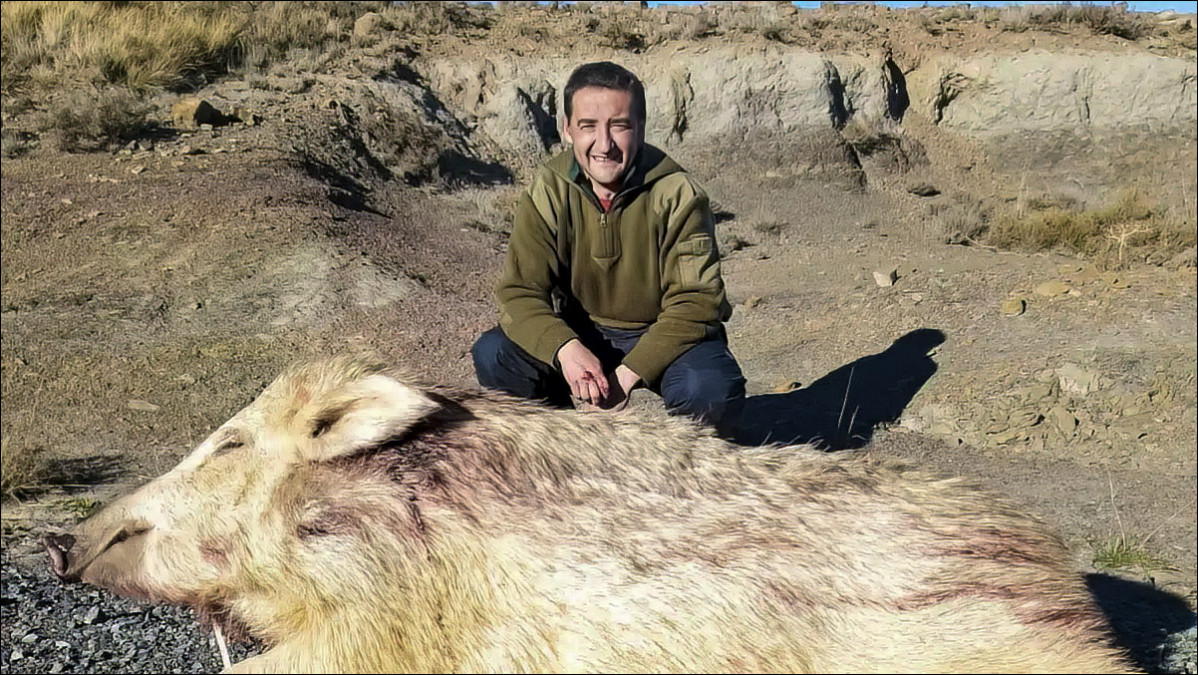 JABALI