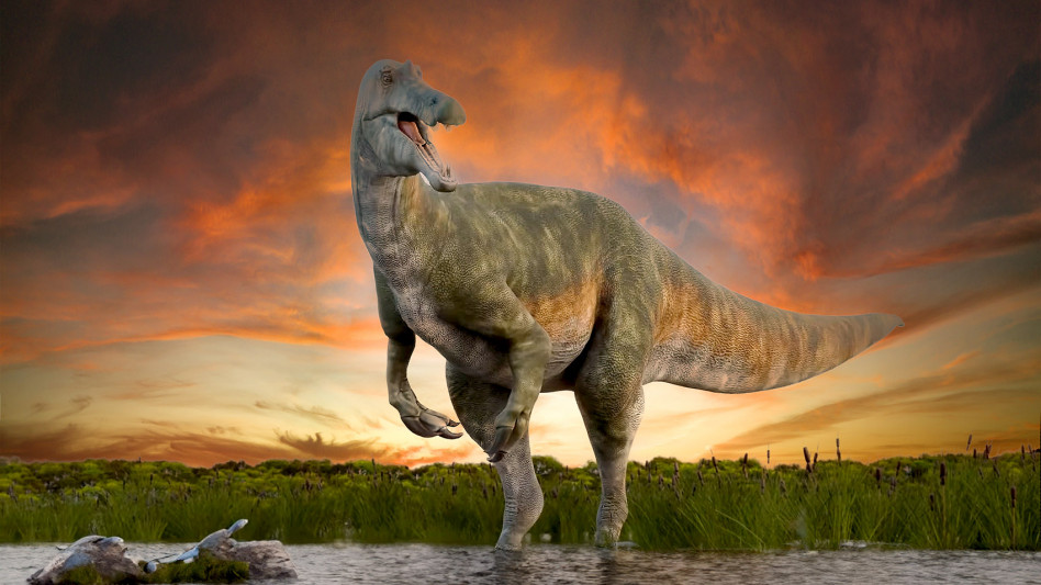 Riojavenatrix lacustris