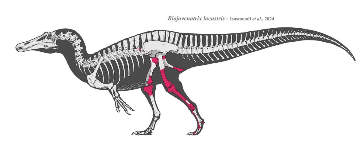 Riojavenatrix