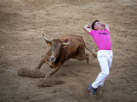 Exhibición de cortes con vacas