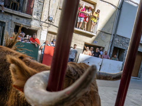 Último encierro Fiestas 2025