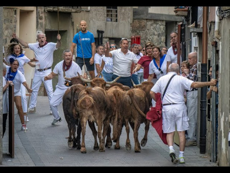 Fiestas Patronales de Igea 2025