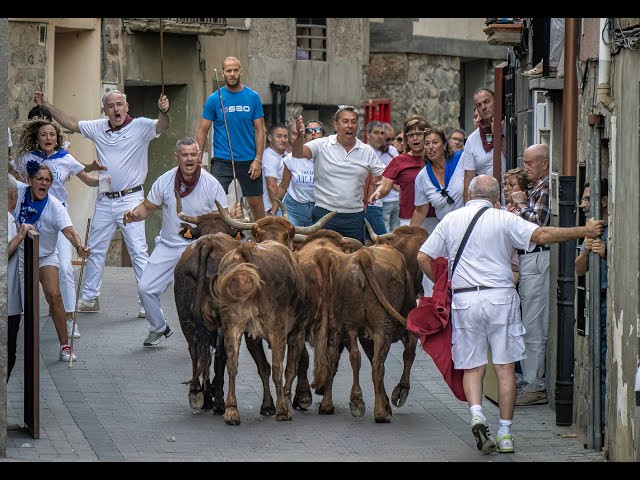 Fiestas Patronales de Igea 2025