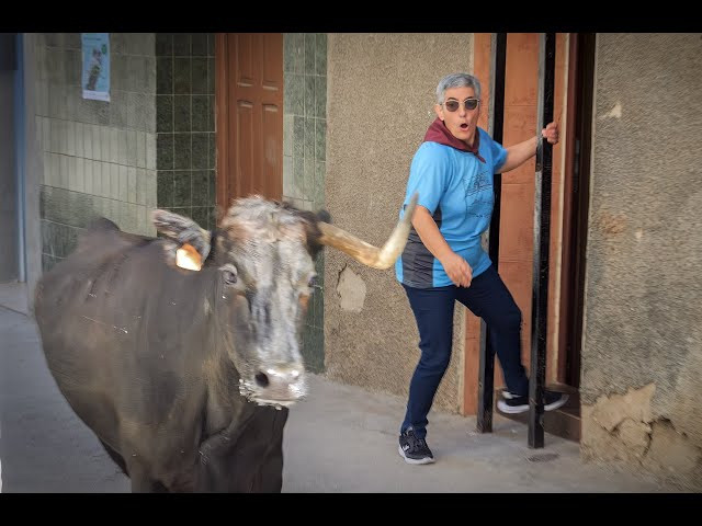 ​Sor Encierro: la monja que le pide a Dios... y corre que se las pela