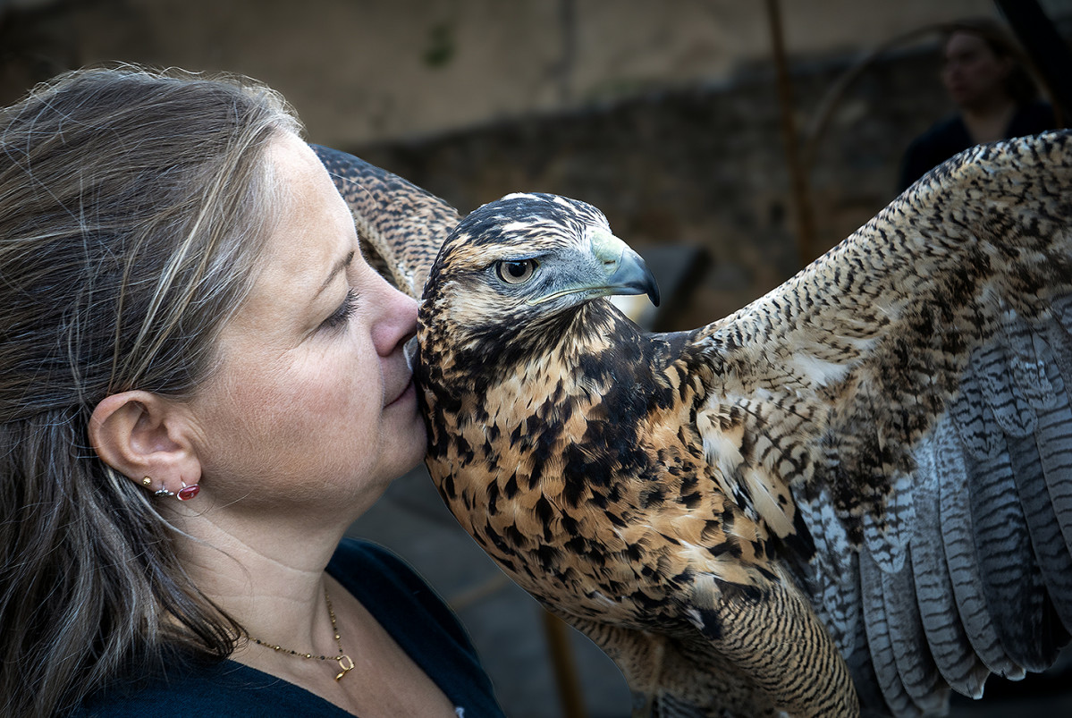 Cornago Jornadas medievales 184