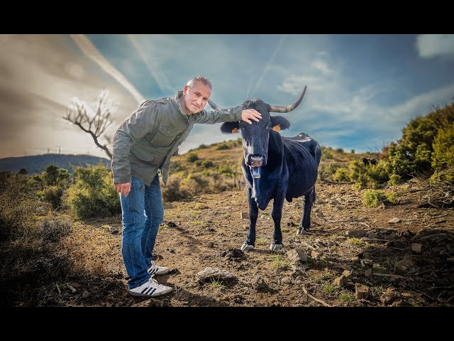 Víctor Navas, el igeano que trashuma entre quirófanos y corrales