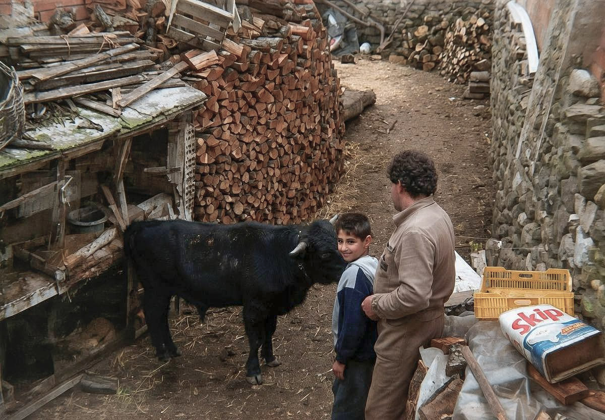 Roberto y rafa navas