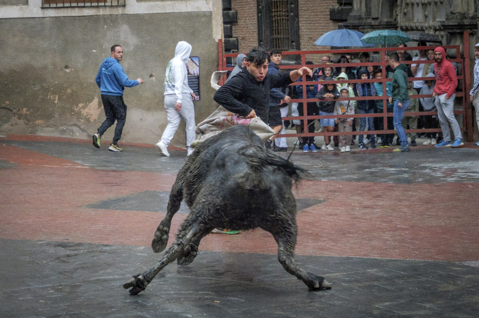 PFAD2761 copia
