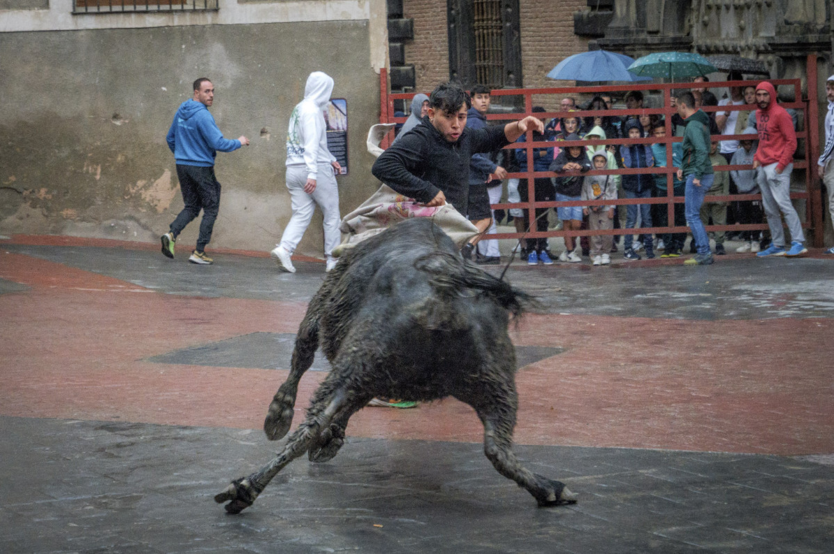 PFAD2761 copia